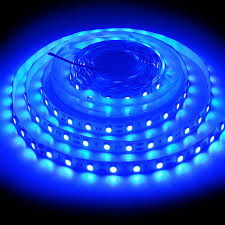 ShineBurky Tira LED Azul 12V - 5 Metros de Luz para Habitaciones
